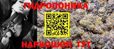крисы Жуковский