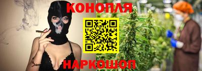 крисы Жуковский